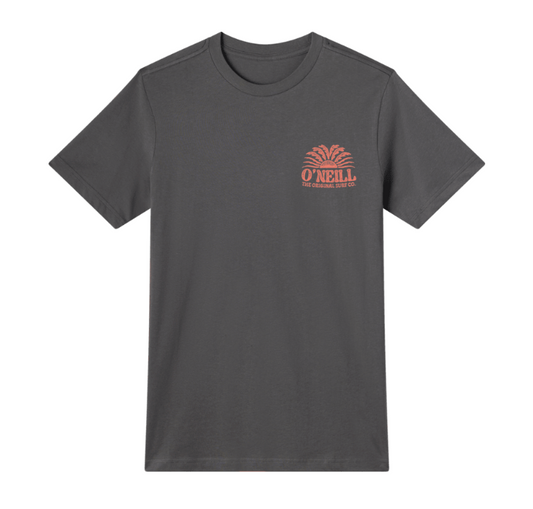 O'neill Burst Classic S Tee