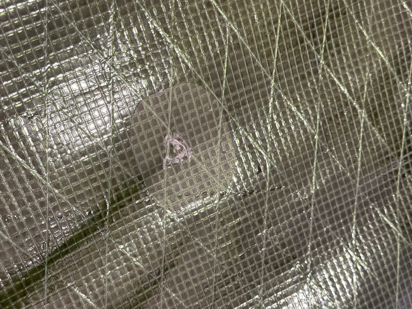 2024 Severne Gator Demo 5.5 DEMO sail