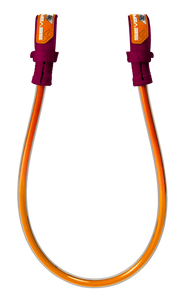 Severne Fixed Harness Lines