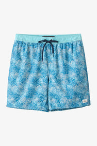 O'Neill Hermosa E-Waist 17" Lined Boardshorts